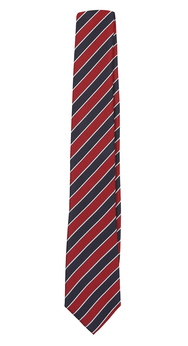 Pensativo Delgado Disparates Fabricante de corbatas escolares colegiales infantiles personalizadas -  uniformes escolares Pronens | Pronens