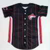 Fabricante de Camisetas deportivas escolares de Béisbol y Softball personalizadas para clubs deportivos y colegios.