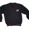 Jersey escolar personalizado - uniformes escolares Pronens
