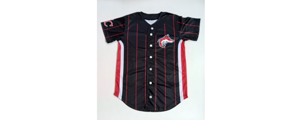 Fabricante de Camisetas deportivas escolares de Béisbol y Softball personalizadas para clubs deportivos y colegios.
