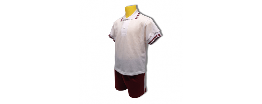 Fabricante de conjuntos verano polo - Uniformes escolares infantiles Pronens