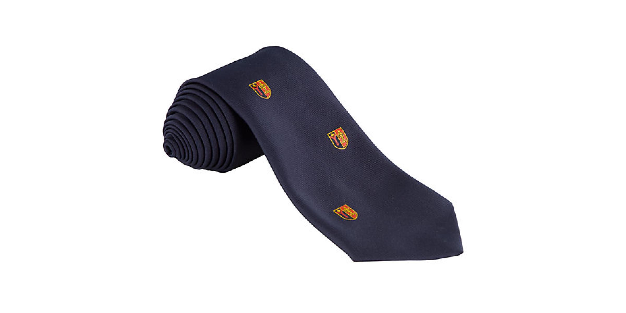 Fabricante de corbata escolar infantil con nudo hecho para uniformes escolares de colegios marino logo estampado