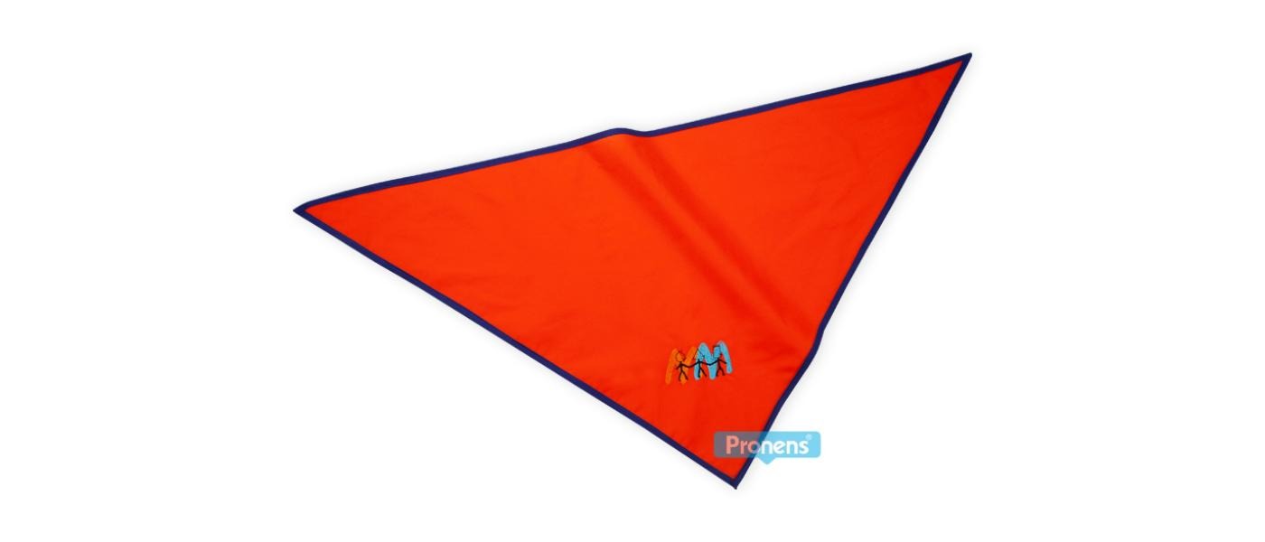 Foulard d’excursió personalitzat per a escoles i llars d’infants