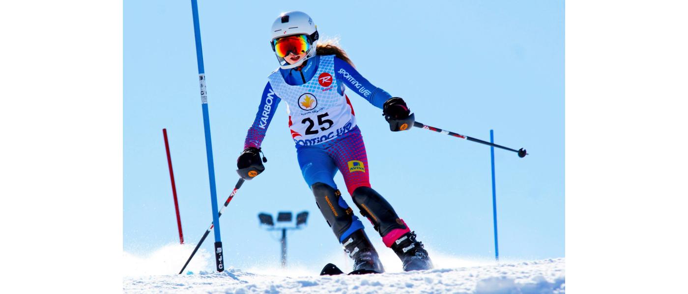 Alpine skiing back protector manufacturer, competition skiing - Pronens ski back protector.