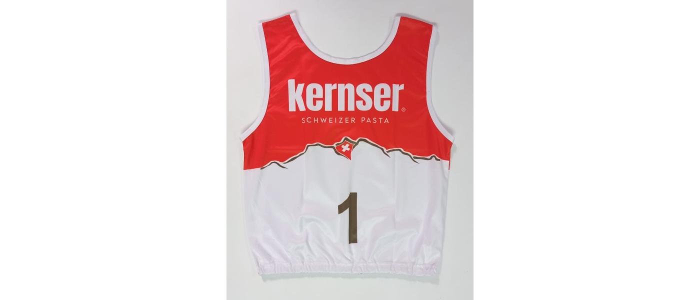 Alpine skiing slalom back protector manufacturer for FIS ski competitions