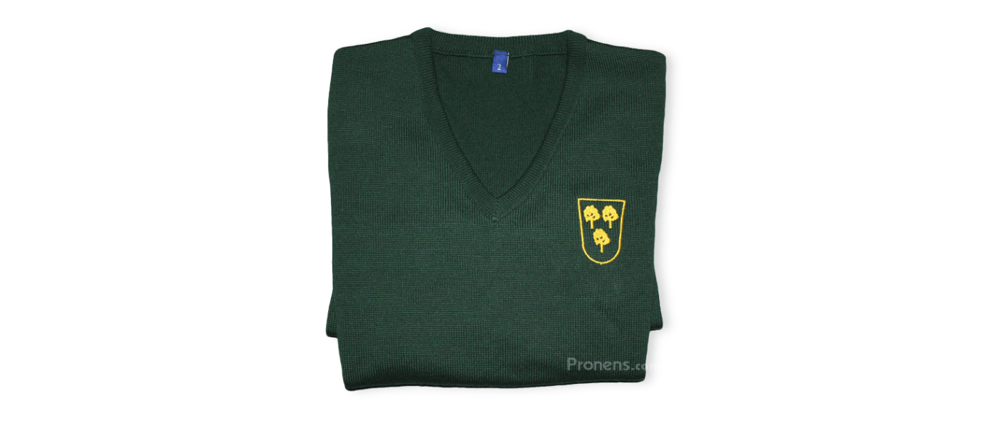 Custom sweater manufacturer for schools - embroidered green yellow.