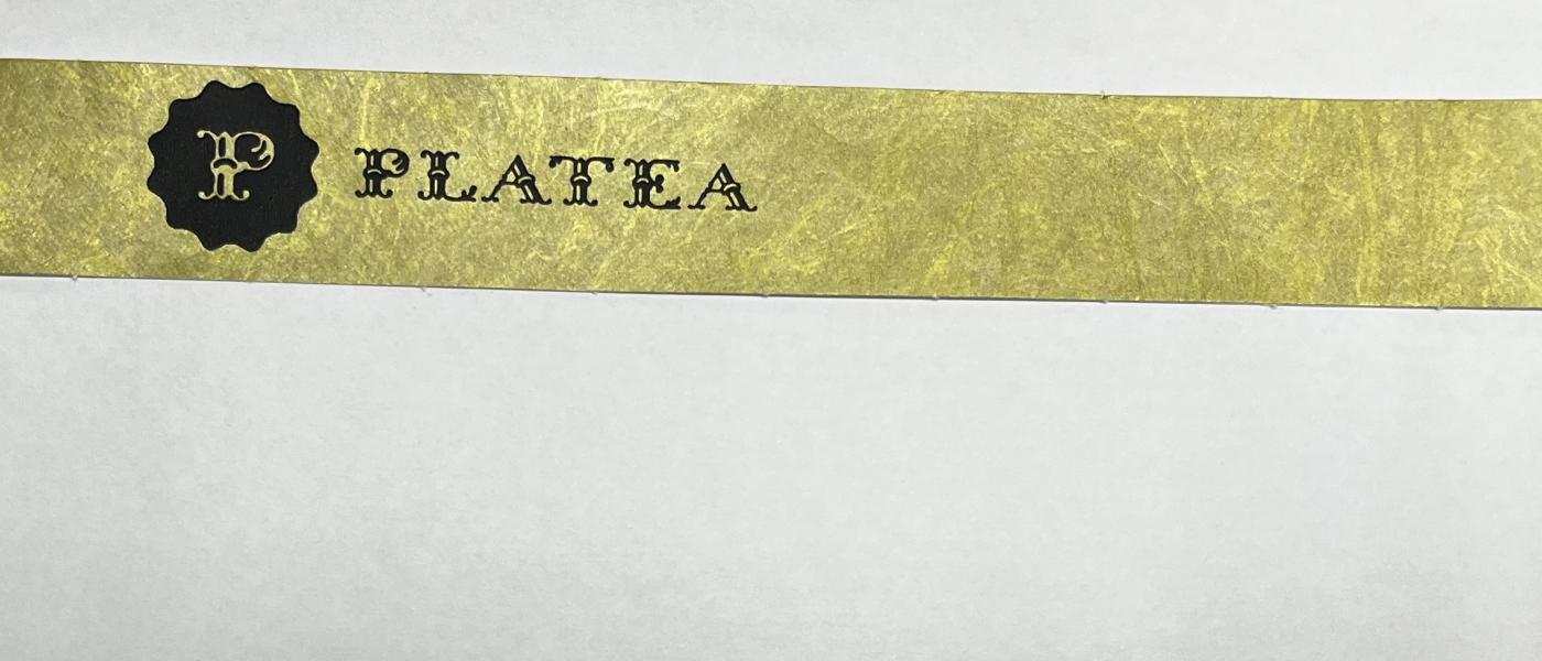 Fabricant de Polsera econòmica de paper Tyvek irrompible Platea teatre VIP