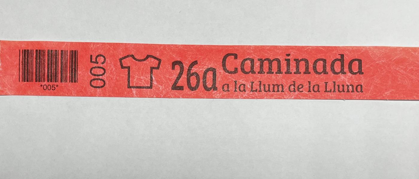 Fabricant de Polsera econòmica de paper Tyvek irrompible Caminada a la llum de la lluna