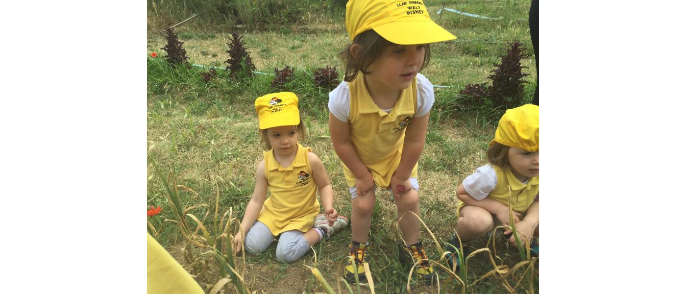 Fabricante gorra infantil de tela para guarderías