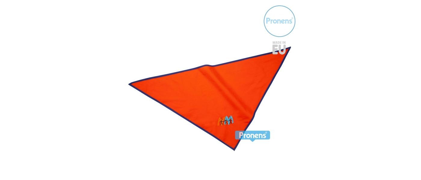 Foulard d'excursion personnalisé pour écoles et garderies